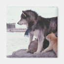 Recherche de traîneau magnets Animal