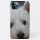 Search for cute westie iphone cases White