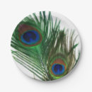 Search for peacock plates Feather