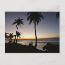 Search for philippines postcards Palm trees