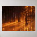 Search for misty trees posters Fog