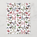 Recherche de insectes mignons cartes postales Papillon