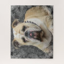 Recherche de english puzzles Pet