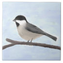 Search for cap tiles Black capped chickadee