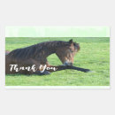 Search for lays stickers Equestrian