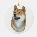 Search for akita ornaments Puppy