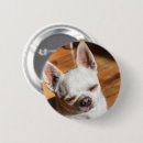 Recherche de somnolent badges Mignon