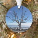 Search for georgia ornaments Driftwood
