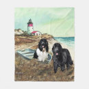 Search for newfoundland blankets Pets