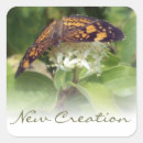 Search for creationism stickers Christianity