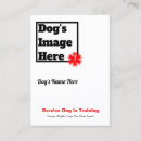 Recherche de formation de chien cartes visite Pour animaux