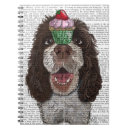 Recherche de springers spaniels Animaux