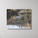 Search for wade canvas prints Birds