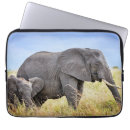 Search for tanzania cases Tarangire national park