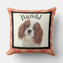 Recherche de cavalier king charles coussins Amoureux des chiens
