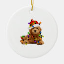 Search for goldendoodle ornaments Dogs