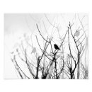 Recherche de arbre noir et blanc art De la nature