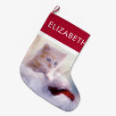 Recherche de chat orange chaussette de noël Animal