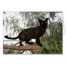 Recherche de la birmanie cartes postales Arbre