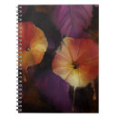 Search for morning glory notebooks Flower