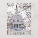 Recherche de blossom cartes postales Dc washington