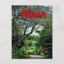Recherche de plante cartes postales Hawaii