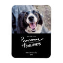 Recherche de funny dog magnete Animal