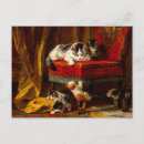Recherche de chat sur une chaise cartes postales Vacances