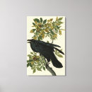 Search for bird canvas prints Lithograph