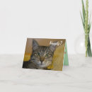 Search for cat basket cards Cats
