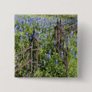 Search for bluebonnet buttons Colourful
