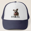Search for pitbulls hats Bully