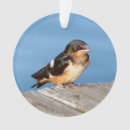Search for swallow ornaments Animal