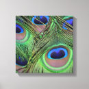 Search for peacock feather canvas prints Blue