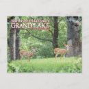 Search for deer lake postcards States