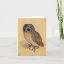 Recherche de owl vœux cartes Petit hibou