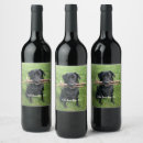 Search for stick labels Cute