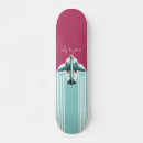 Search for airplane skateboards Flight