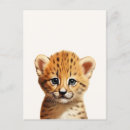 Search for forest leopard postcards Tropical