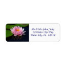 Search for pink lilies return address labels Nature