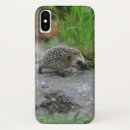 Search for hedgehog gifts Nature
