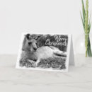 Search for australian christmas cards Funny