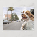 Recherche de accrocher cartes postales Humour