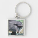 Search for getty keychains Nature