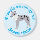 Search for merle magnets Cute
