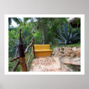 Search for seclude posters Photography