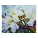 Search for purity White