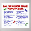 Search for english springer spaniel art Cute