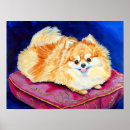 Search for pomeranian posters Animals