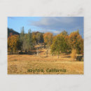 Search for blue trees postcards Mountains